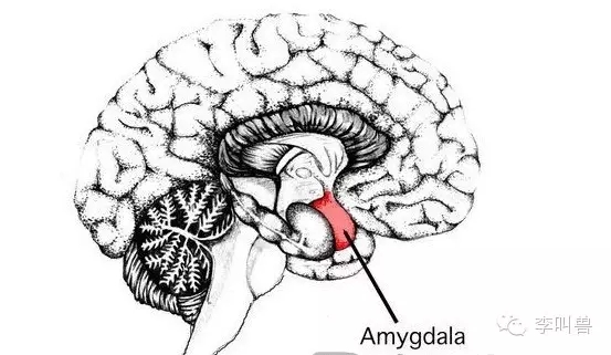 恐惧营销:如何科学地吓唬消费者