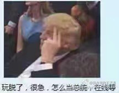 美国大选，川普赢了！看段子手们和品牌们如何借势营销！