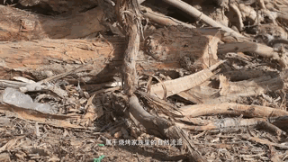 《人生一串》——让人流口水的烧烤文案