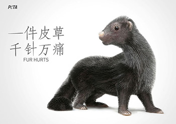 推荐：广告教父大卫奥格威广告创意的独特哲学