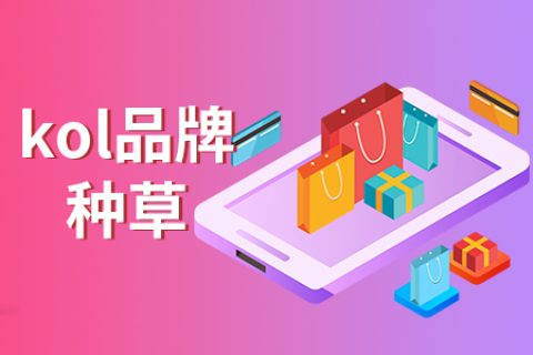 小红书口红推广：博主的种草流程解析