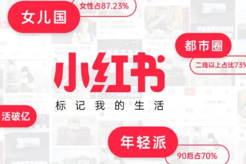 小红书种草营销实战手册：打造爆款产品的关键策略